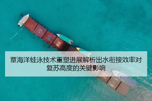 覃海洋蛙泳技术重塑进展解析出水衔接效率对复苏高度的关键影响