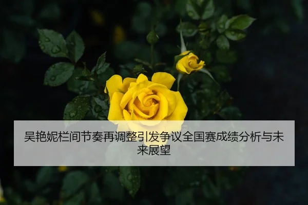 吴艳妮栏间节奏再调整引发争议全国赛成绩分析与未来展望