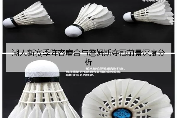 湖人新赛季阵容磨合与詹姆斯夺冠前景深度分析