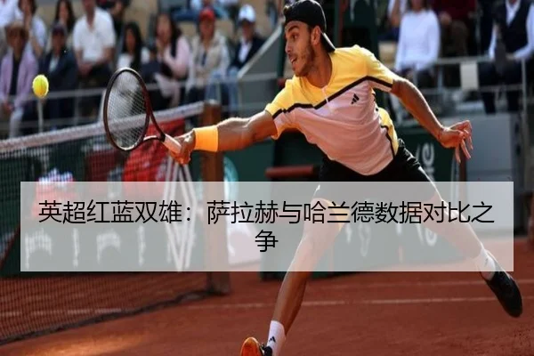 ying-chao-hong-lan-shuang-xiong-sa-la-he-yu-ha-lan-de-shu-ju-dui-bi-zhi-zheng-3-646.jpg