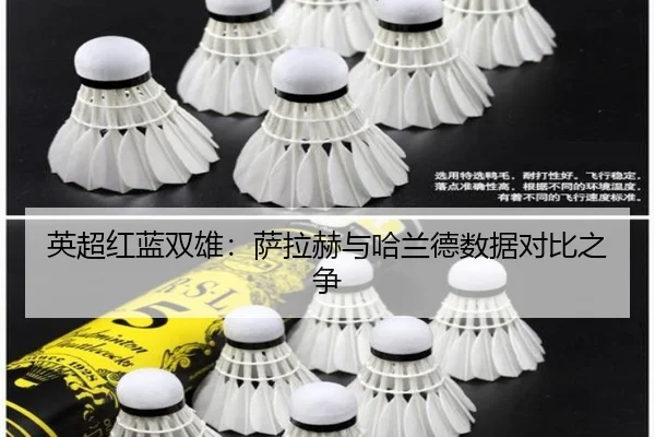 英超红蓝双雄：萨拉赫与哈兰德数据对比之争