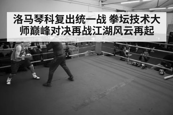boxer training session