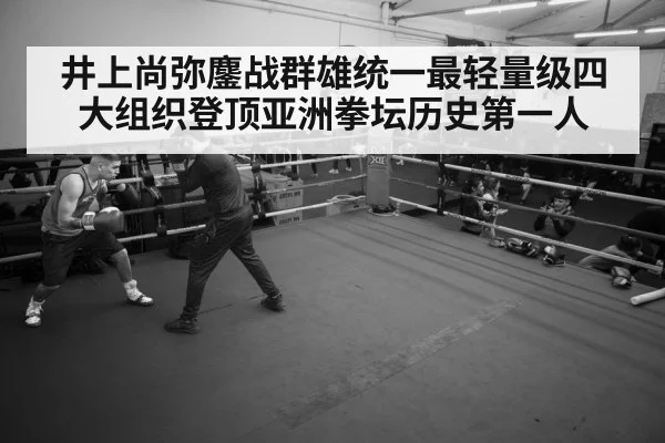 boxer training gym